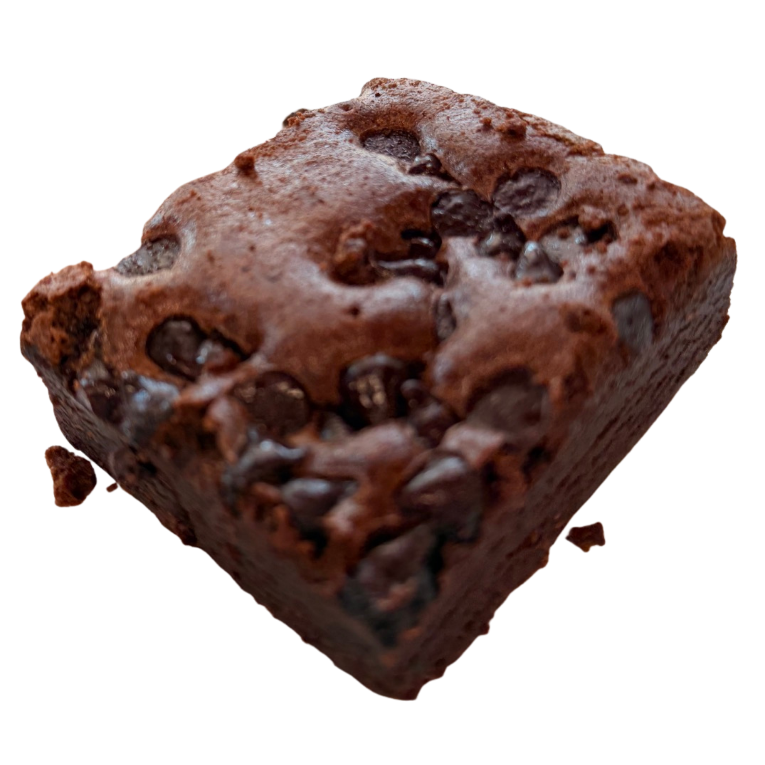 Chocolate Chip Brownie