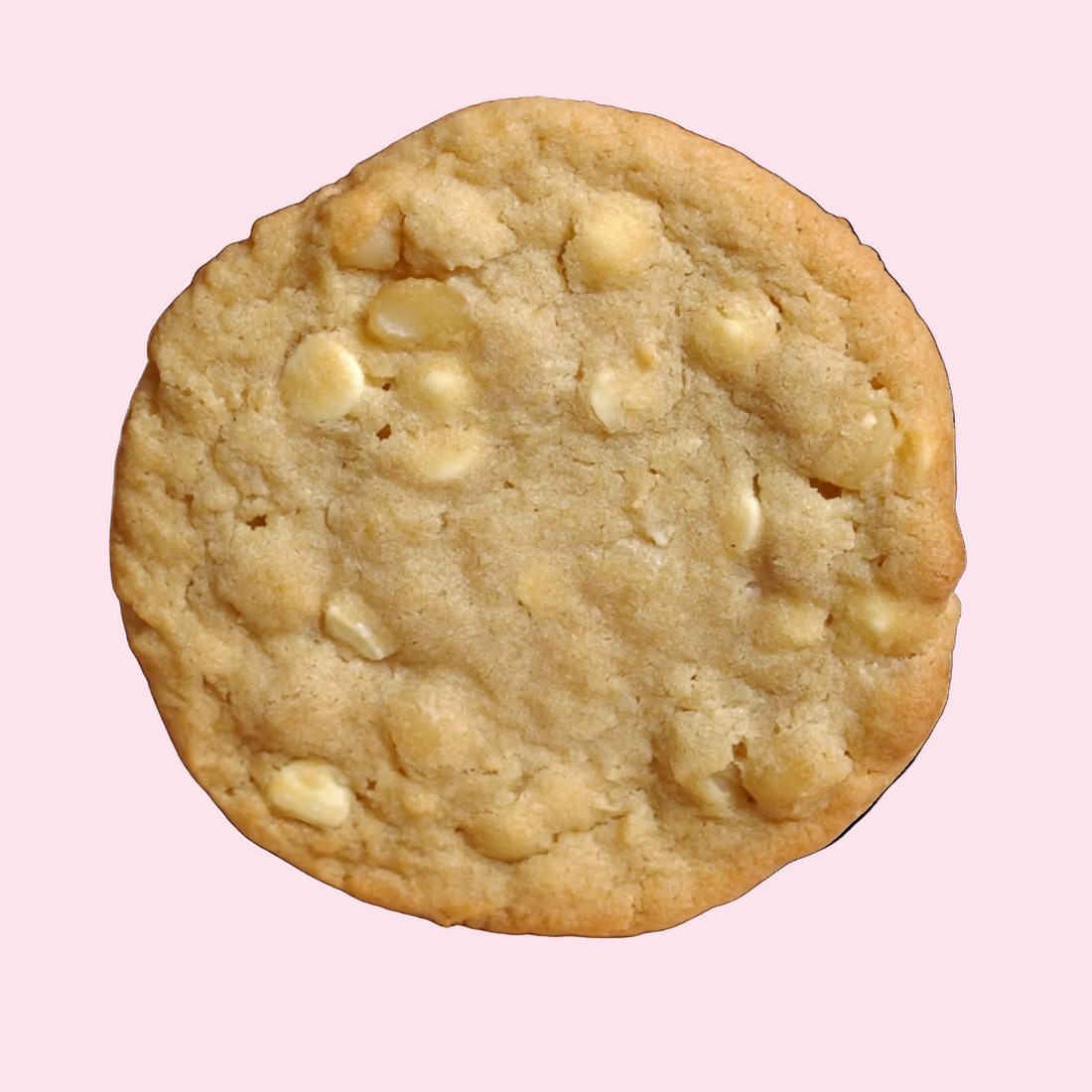 White Macadamia